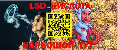 ПСИЛОЦИБИНОВЫЕ ГРИБЫ Можга
